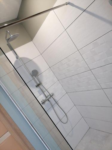 a shower with a glass door and a shower head at les Pénates appartement terrasse in Saint-Max