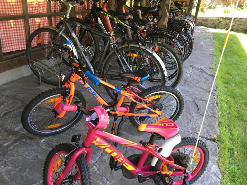 a group of bikes parked next to each other at Garni Villa Siesta Park in Losone