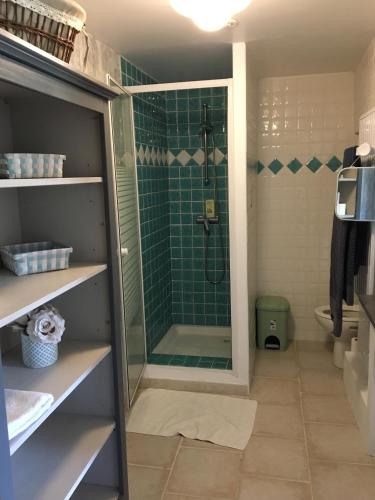 une salle de bain avec une douche avec une porte vitrée dans l'établissement Le Jas des Oliviers 3 étoiles, au Castellet