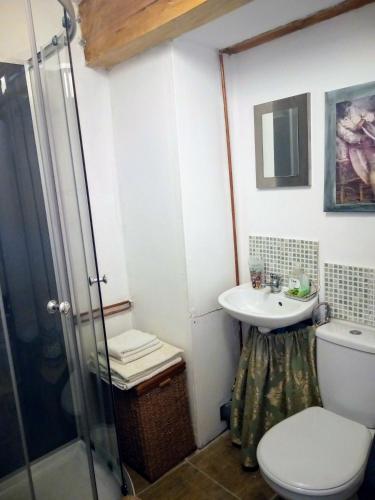 une salle de bain avec toilettes et lavabo dans l'établissement Le Petit Savriere B&B, à Tronget