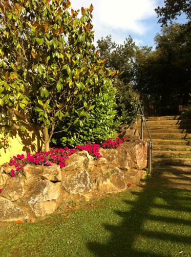 a stone retaining wall with a tree and pink flowers at Hotel Esteba in Caldes de Malavella