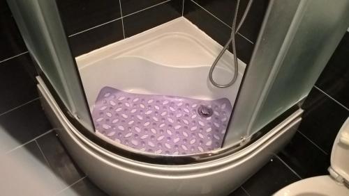 a shower with a purple floor in a bathroom at Nidza Vranjanac in Vrnjačka Banja