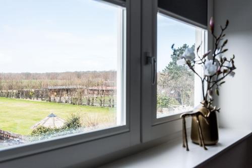 an open window with a view of a field at de Vogelensangh in Vogelenzang