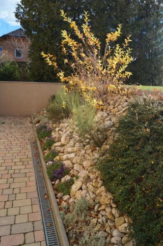 a garden with rocks and plants in a yard at Apartment Robert in Maiersdorf