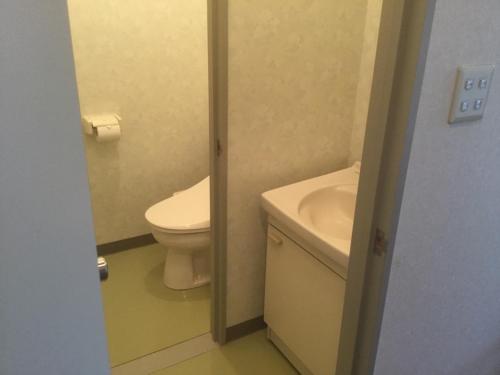 La petite salle de bains est pourvue de toilettes et d'un lavabo. dans l'établissement Homestay Dream / Vacation STAY 3779, à Uonuma