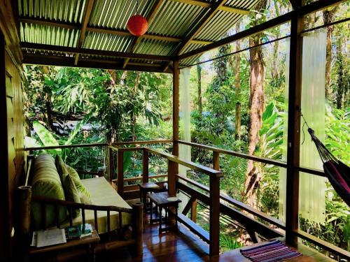 a room with a hammock in a forest at Tranquila in Manzanillo