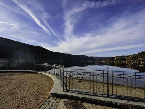 a view of a body of water with a fence at Ferienhaus am Feldberg in Feldberg