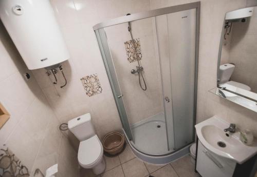 een badkamer met een douche, een toilet en een wastafel bij Trzy Kolory Jezierzany in Jezierzany