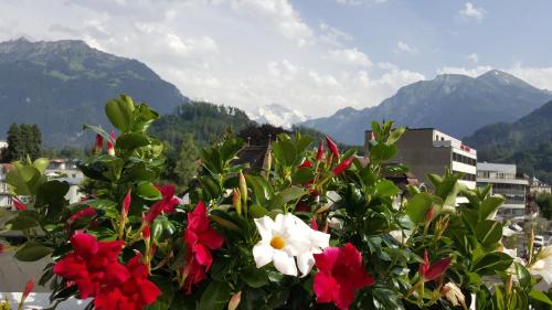 a bush of flowers with mountains in the background at Hotel Bernerhof in Interlaken