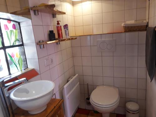 uma pequena casa de banho com lavatório e WC em B&B Kupershof em Epe