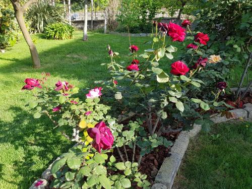 Giardino di Villa Kalimera