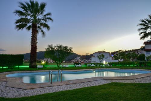 a swimming pool with a palm tree in a park at Quinta do Viso Alojamento Local in Miranda do Corvo