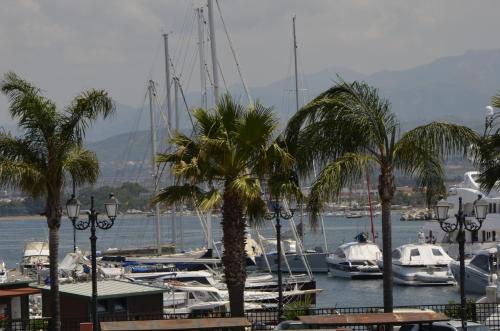 a group of boats docked in a marina with palm trees at Cassisi Hotel in Milazzo