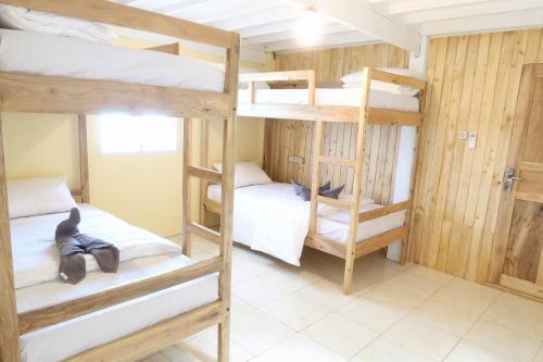 a room with three bunk beds and a cat sitting on a pillow at Phinisi Hostel Bira in Bira