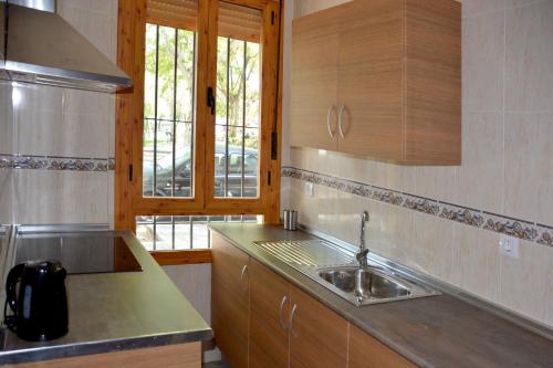 Kuchyň nebo kuchyňský kout v ubytování Apartamentos Casa-Patio Las Palmeras