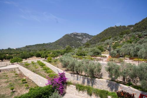 a garden with bushes and trees and mountains in the background at Monnaber Nou Finca Hotel & Spa in Campanet