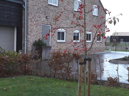 a tree in front of a brick house at de Paardekracht in Serooskerke