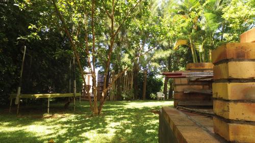 a yard with a tree and a swing at Bubble Dome Village in Saint-Joseph