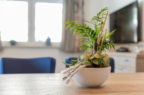 a plant in a white bowl on a table at Ferienwohnungen stiLECHt in Elbigenalp