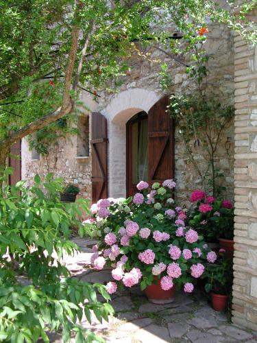 a bunch of pink flowers in front of a building at Malvarina in Capodacqua