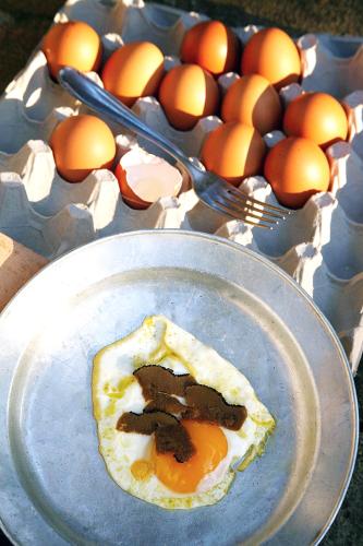 a fried egg on a plate next to some eggs at Malvarina in Capodacqua
