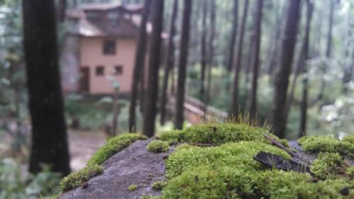 Paisaje cerca de este chalet de montaña