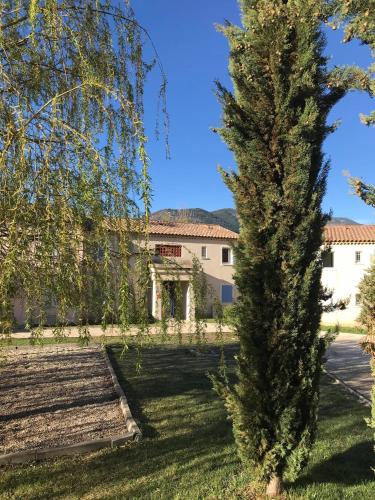 a tree in the yard of a house at La Tour de Guet in Montbrun-les-Bains