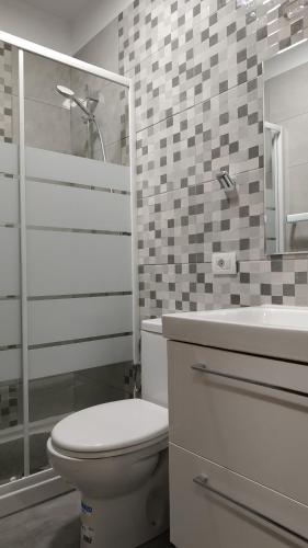 uma casa de banho com um WC, um lavatório e um chuveiro em Nancy's flat em Icod de los Vinos