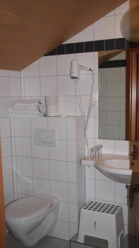 Un baño de Pension Gartner