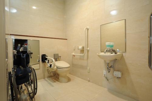 a bathroom with a toilet and a sink at Suizenji Comfort Hotel in Kumamoto