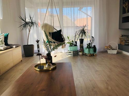 a room with potted plants on a wooden floor at Borek in Medyka