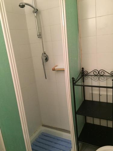 a bathroom with a shower with a blue floor at La Tana dell'Orso in Forni di Sopra
