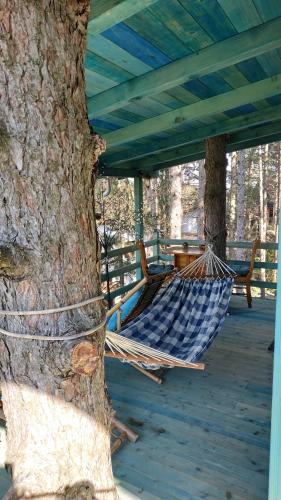 Gallery image of Guesthouse Bajka in Vinci
