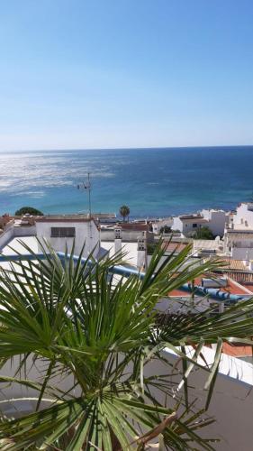 a palm tree in front of a view of the ocean at LUXURY OCEAN PENTHOUSE- panoramic sea view & tikki bar on private terrasse in Luz