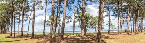 Photo de la galerie de l'établissement Appartement 4 couchages dans résidence avec piscine entre golf et lac de Biscarrosse, à Biscarrosse