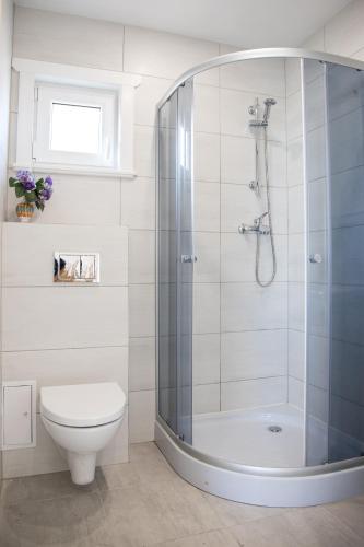 a bathroom with a shower and a toilet at Domki Letniskowe Biała Perła in Jezierzany