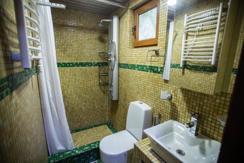 een badkamer met een wastafel, een toilet en een douche bij Villa Danile Cosy Apartments in Budva