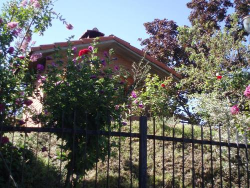 Zahrada ubytování Gli Aceri B&B