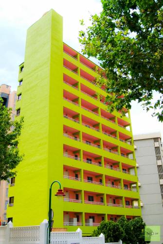 Now Benidorm photo 39
