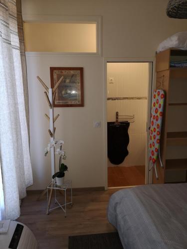Appartement Centre Ville