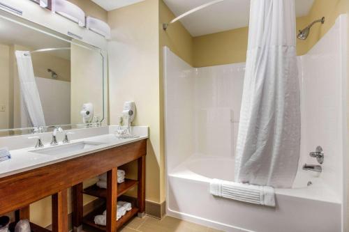 Koupelna v ubytování Comfort Inn & Suites