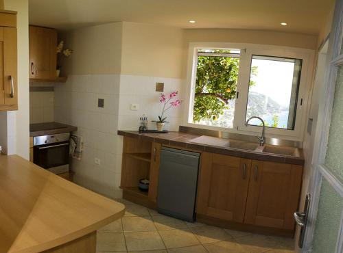 a kitchen with a sink and a window at Les Citronniers d'Azur in Menton