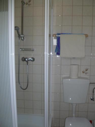 a bathroom with a shower and a toilet and a tub at Haus Lissi in Bad Füssing