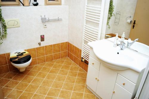 La salle de bains est pourvue de toilettes et d'un lavabo. dans l'établissement Apartmán v centru, à Havlíčkův Brod