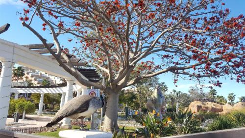 a large bird standing next to a tree at Magnificas vistas al mar in Oropesa del Mar