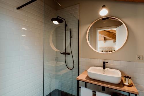 a bathroom with a sink and a shower at Palacio Condes de Cirac in Villalba de Rioja