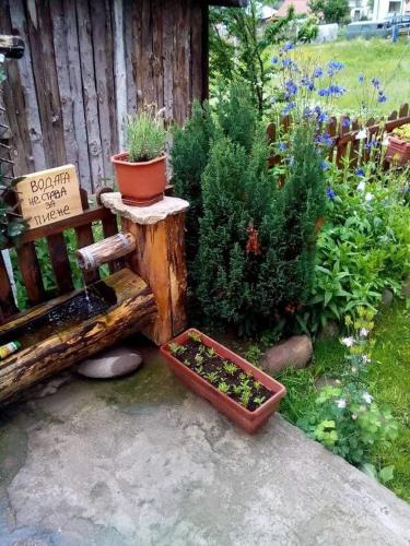 a garden with a bench and potted plants at вила Здравец in Yagodina