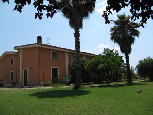 a house with a palm tree in the yard at Agriturismo Torre Del Golfo in Cropani