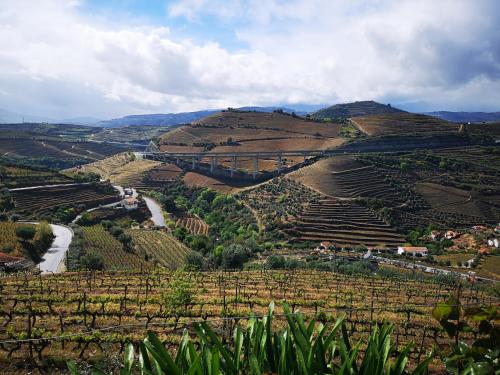 auliculiculiculiculiculiculiculiculiculiculiculiculiculiculic at Casa do Romezal in Peso da Régua