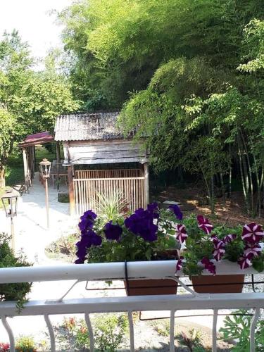 a garden with purple flowers and a small building at Guesthouse Luka in Martvili